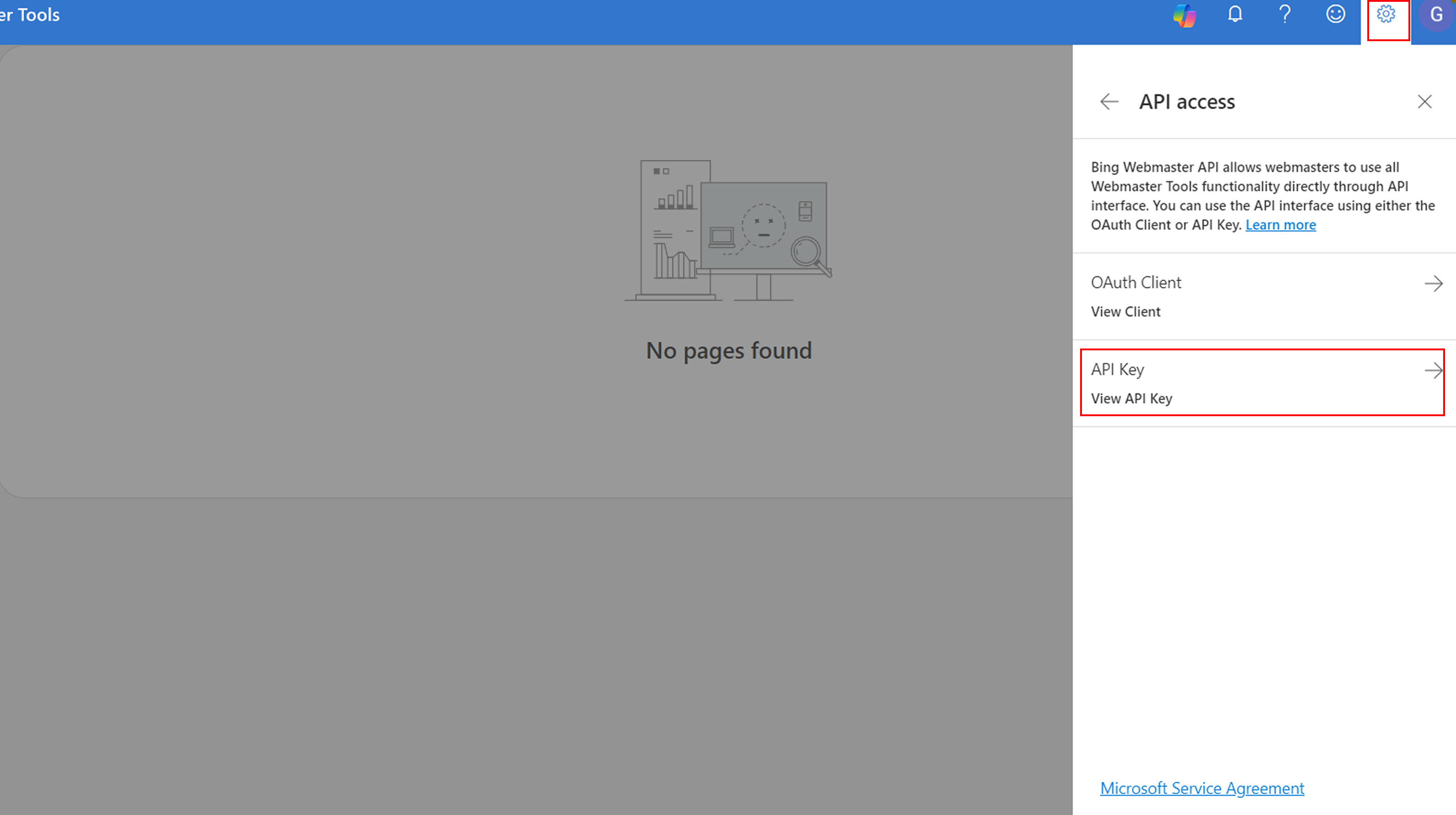 API Access tab